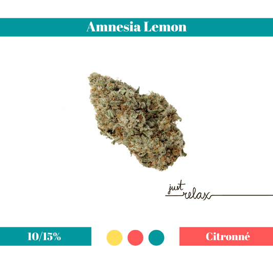 Amnesia Lemon Indoor