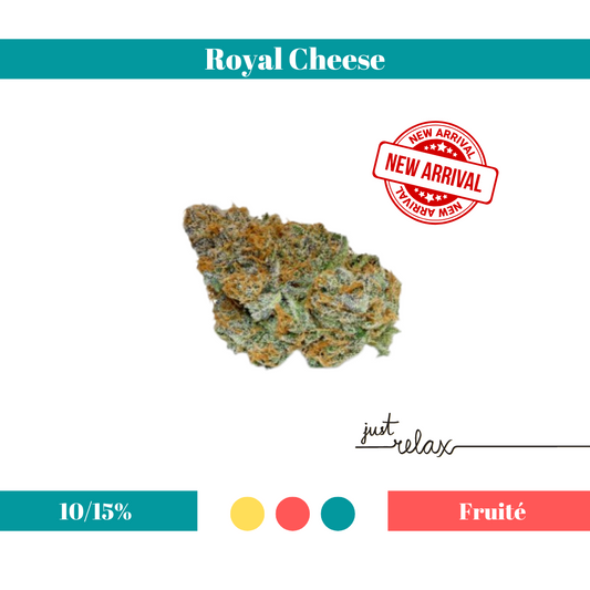 Royal Cheese Indoor