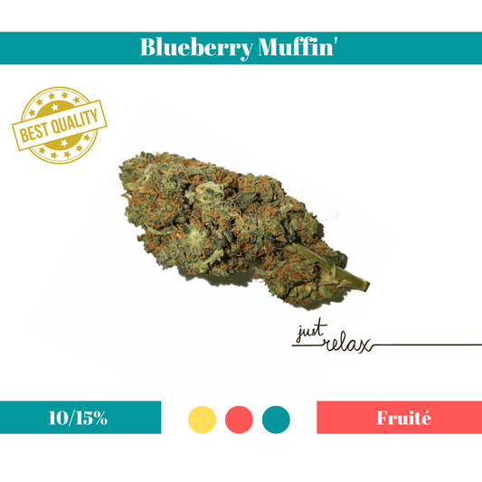 Blueberry Muffin Indoor